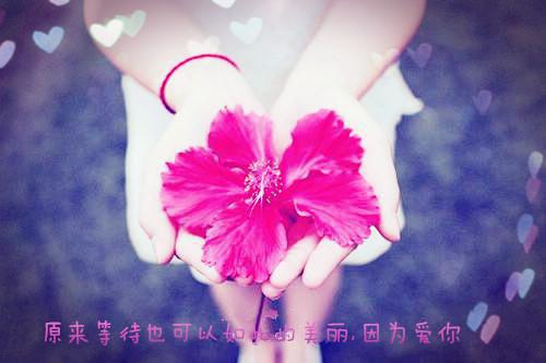 送同学的周末祝福短信