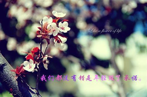 云溪白玉：君别凌花劫完整版热门（君别凌花劫云溪白玉：全文+结局+番外）全文免费阅读已完结无弹窗_云溪白玉：君别凌花劫最新章节列表_笔趣阁（君别凌花劫云溪白玉：全文+结局+番外）