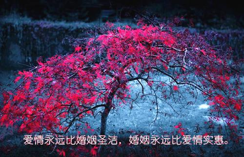 优雅内涵成熟男生签名2023 阳光下像个孩子风雨里像个大人