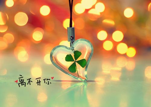 我吸血鬼吃光,始祖见我都摇头:结局+番外(陈玲余贤)全文免费阅读无弹窗大结局_(我吸血鬼吃光,始祖见我都摇头:结局+番外)最新章节列表_笔趣阁(陈玲余贤)