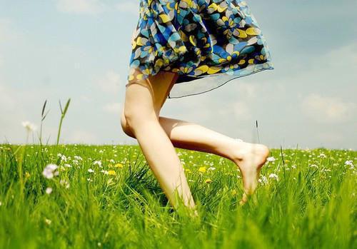 幼儿园大班上学期手册评语（精选15篇）