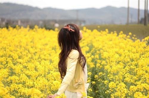 心的第七次颤动：结局+番外（姜颜 苏砚）全文免费阅读无弹窗大结局_心的第七次颤动：结局+番外（姜颜 苏砚）最新章节列表_笔趣阁姜颜 苏砚