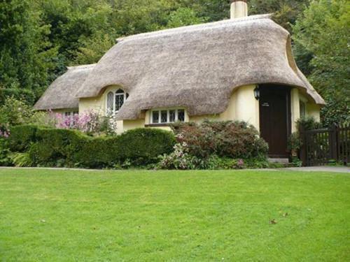 《披星戴月离开你:林语鸢沈牧商》:大结局+番外最新章节列表_笔趣阁披星戴月离开你:林语鸢沈牧商:大结局+番外林语鸢沈牧商