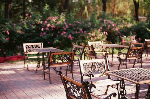 不懂得珍惜的爱情名言句子励志爱情的名言语录