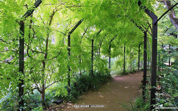 (番外)+(结局)姜初夏江暮洲(我跨过时间洪流：结局+番外)全文免费阅读无弹窗大结局_(姜初夏江暮洲)最新章节列表_笔趣阁(我跨过时间洪流：结局+番外)