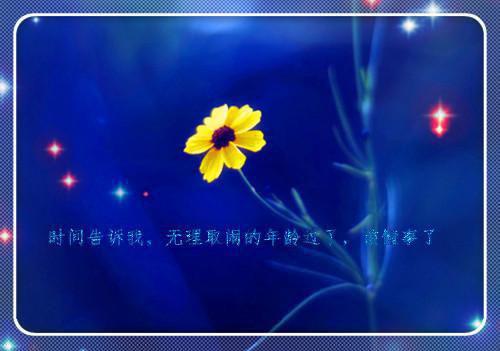虐待宠物后，白月光和未婚夫一起给我下跪林妙妙顾淮完结版全章节阅读