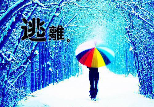 老板拒报五十打印费后，我直接带五千万大单投奔他死对头顾薇薇张城小说_老板拒报五十打印费后，我直接带五千万大单投奔他死对头完结版阅读