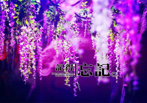 思念的爱情名言句子
