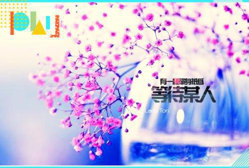 经典人生感悟的简短文章精选