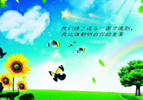 小说萧清瑶傅时晏：结局+番外主角为萧清瑶傅时晏免费阅读