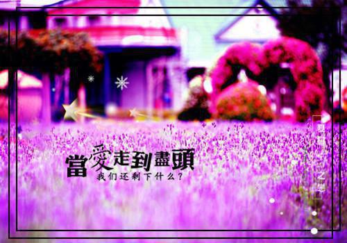感谢校长散文