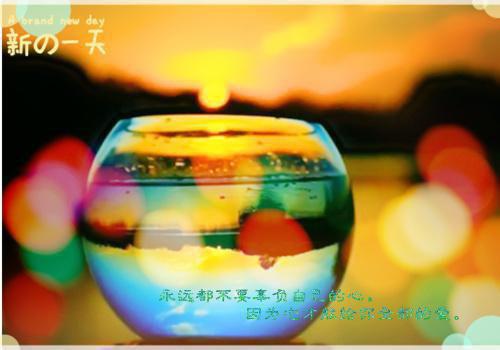 清新动人的qq女生签名2023 我演绎着我的疯狂