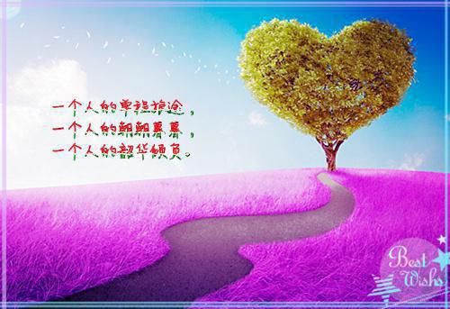 表示父母恩情的句子感慨父母恩情的话语