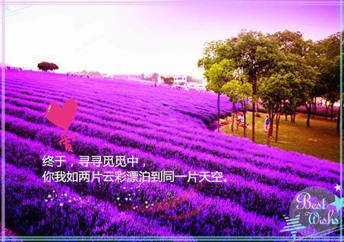 幼儿园大班操心评语