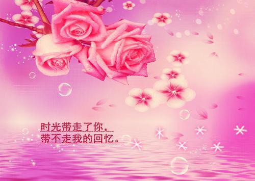 (番外)+(全文)君自北向,我且南行：结局+番外（顾黎风柳芷璇萧奕城）全文免费阅读无弹窗大结局_（君自北向,我且南行：结局+番外免费阅读全文大结局）最新章节列表_笔趣阁（君自北向,我且南行：结局+番外）