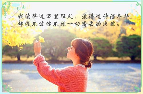 勤能补拙的小菜鸟的小说深夜买醉，被情敌未婚妻强吻！赵时安洛溪言全文阅读