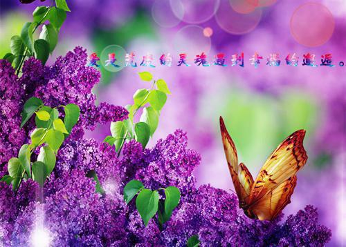 承蒙君不娶,往后余生,我心为国,点亮医疗之树:结局+番外篇(沈相宜裴瑾臣)全文免费阅读无弹窗大结局_承蒙君不娶,往后余生,我心为国,点亮医疗之树:结局+番外篇最新章节列表_笔趣阁(承蒙君不娶,往后余生,我心为国,点亮医疗之树:结局+番外篇)