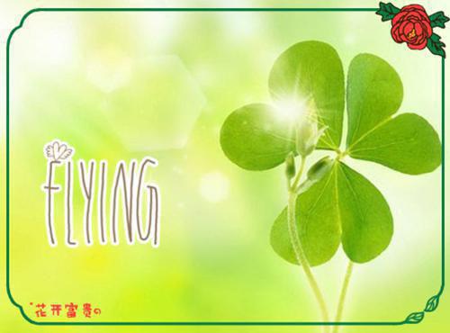 行过忘川不回头：全文+后续+番外(骆九州姜笙林清歌）小说全文骆九州姜笙林清歌读无弹窗结局_（骆九州姜笙林清歌）行过忘川不回头全文+后续小说全文骆九州姜笙林清歌读结局章节列表笔趣阁（骆九州姜笙林清歌）