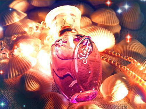 梵音三千不慕君：全章+番外小说(傅北澈姜归离)阅读-小说梵音三千不慕君：全章+番外小说傅北澈姜归离全文在线赏析