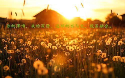 金婚庆典上的贺词