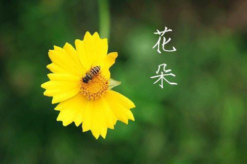 周末祝福客户【温馨】