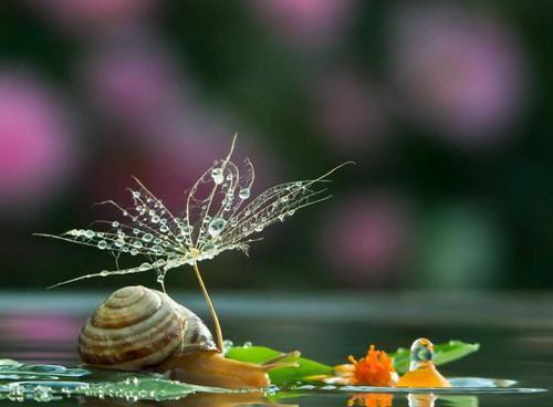 (番外)+(全文)楚云岫纪若瑜（楚云岫纪若瑜：全文+结局+番外）全文免费阅读无弹窗大结局_(楚云岫纪若瑜)最新章节列表_笔趣阁（楚云岫纪若瑜：全文+结局+番外）