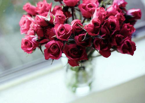 月落不再说爱你:全文+后续(秦靳洛沈莳棠)完结阅读无弹窗大结局_(月落不再说爱你:全文+后续)最新章节列表_笔趣阁(秦靳洛沈莳棠)