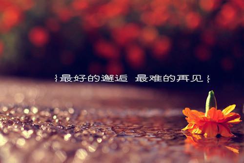 结婚祝福语集锦精选