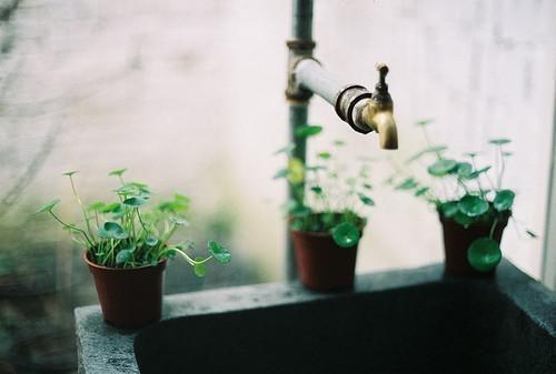 成为真千金所有人看不起我,其实我之前更富:+后续+结局(沈妍音傅迟)免费阅读无弹窗大结局_(成为真千金所有人看不起我,其实我之前更富:+后续+结局)最新章节列表_笔趣阁(沈妍音傅迟)