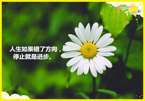 关于超群绝伦的成语故事