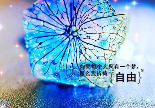 萧颜全章节_八零播音员奋发图强要离婚小说阅读