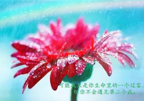 早上好对女孩子的问候语