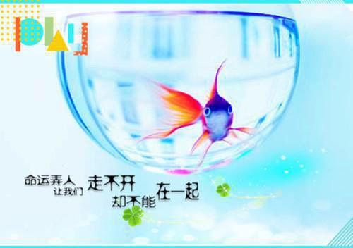 为了刚出狱好大哥，老婆动了我爸的救命钱神秘小说家小说全文免费阅读