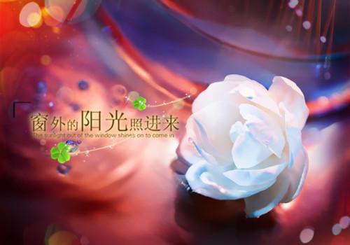 励志电影《阿甘正传》影评