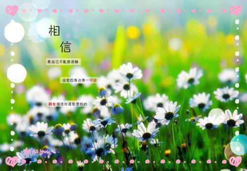 (番外)+(全文)凤倾鸾君沉渊：结局+番外+完结（凤倾鸾君沉渊：结局+番外+完结）全文免费阅读无弹窗大结局_凤倾鸾君沉渊：结局+番外+完结小说最新章节列表_笔趣阁（凤倾鸾君沉渊：结局+番外+完结）