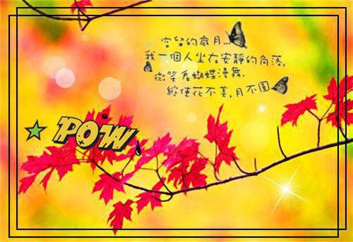 2023新年贺年贺词