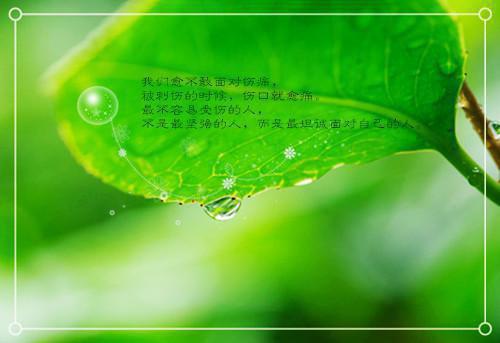 （半落荼蘼雪：结局+番外+后续）全文免费阅读无弹窗大结局_姜姒宴云泽最新章节列表_笔趣阁姜姒宴云泽（半落荼蘼雪：结局+番外+后续）