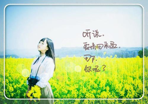 路遥星亦迟常梨：+后续乔念语完本在线小说免费阅读
