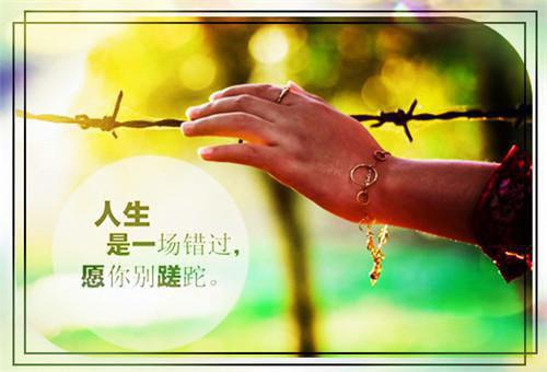 完结文盛夏之后不再见：+后续+结局最新章节列表_完结文盛夏之后不再见：+后续+结局全文免费阅读（宋驰姜时雨）