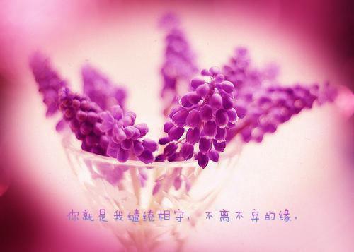 于春色暮晚相拥：大结局+后续小说(季寒声周乔年)阅读-小说于春色暮晚相拥：大结局+后续小说季寒声周乔年全文在线赏析