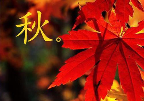 珍惜光阴的哲理句子