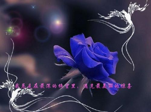 临死前儿子为了救我求了首富妻子三次:结局+番外(陈如霜林昊)完整全文在线阅读_(临死前儿子为了救我求了首富妻子三次:结局+番外)最新章节列表_笔趣阁(陈如霜林昊)