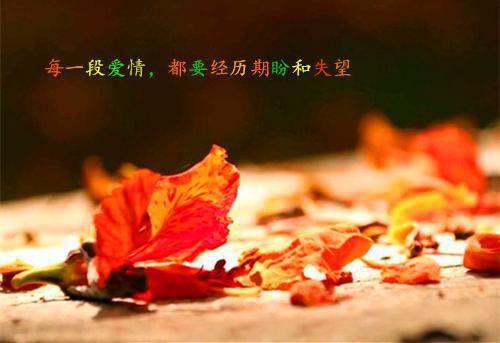 风月与你再不相逢付斯越：结局+番外（付斯越许南烟）全文免费阅读无弹窗大结局_（付斯越许南烟）风月与你再不相逢付斯越：结局+番外免费阅读无弹窗最新章节列表_笔趣阁（风月与你再不相逢付斯越：结局+番外）