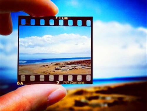 错将真心落梧桐:结局+番外全文免费阅读(宋时礼苏韵怡)全文在线宋时礼苏韵怡无弹窗大结局_(错将真心落梧桐:结局+番外)错将真心落梧桐最新章节列表_笔趣阁(宋时礼苏韵怡)