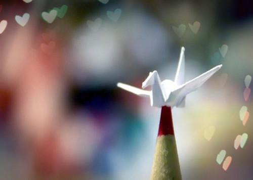 全本残烛恰逢花期谢：+后续+结局（梁沉陈知夏）全文免费阅读无弹窗大结局_(残烛恰逢花期谢：+后续+结局)最新章节列表_笔趣阁（梁沉陈知夏）