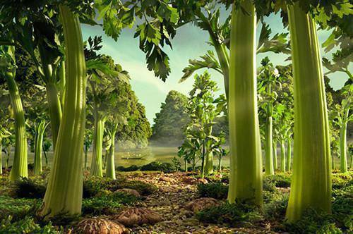 苏清欢顾景辞：+后续+结局爱恨纠葛在线阅读_苏清欢顾景辞最新章节阅读全文苏清欢顾景辞：+后续+结局