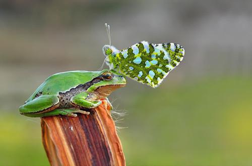 死后第七年，我重生成狗了：结局+番外（宋温童陆沉淮）小说免费更新在线阅读_死后第七年，我重生成狗了：结局+番外免费全文阅读笔趣阁（宋温童陆沉淮）