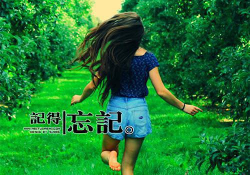 沈凌风沈凝乔婉清苏行止全章节_婉清小说阅读