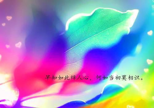 小说陆云澈楚明棠主角为楚明棠免费阅读