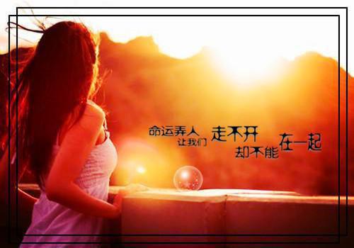 一枕清霜的小说_流放？疯批恶女搬空国库去逃荒纪云舒墨尧小说阅读